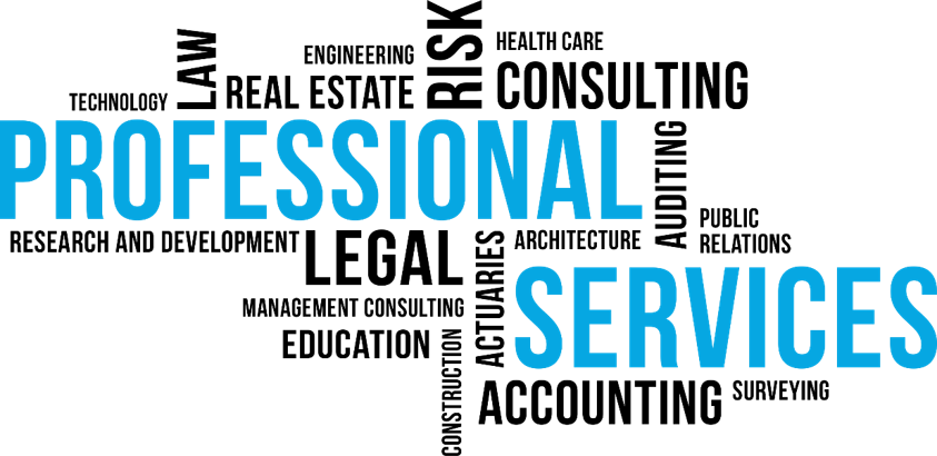 professional services